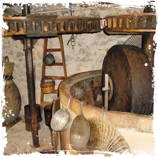 Premium Tunisian Organic Extra Virgin Olive Oil